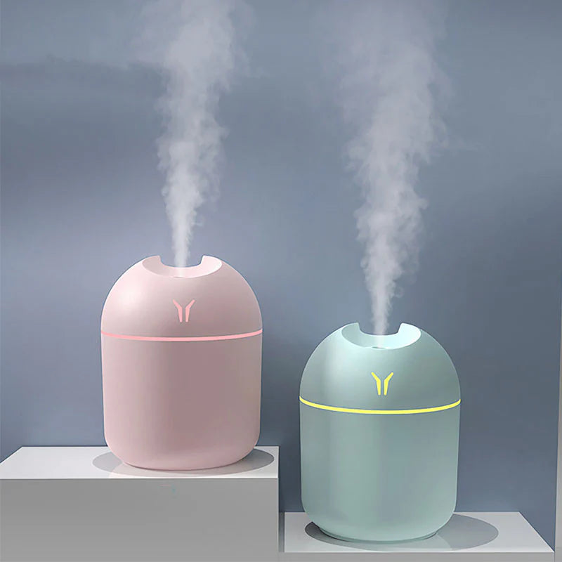 Egg Shaped Humidifier